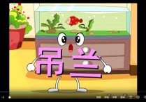 爱盟幼儿园早教正版36集20G高清版RMVB视频