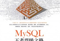 MySQL王者晋级之路PDF扫描版图书