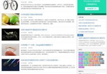 简洁大气大前端D8 5.1响应式WordPress博客主题