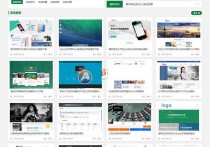  站长素材下载类网站 源码下载站系统 带会员充值系统