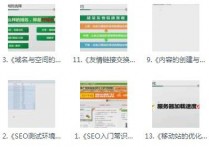 SEO从入门到实战精英视频教程 建站人员必学课程